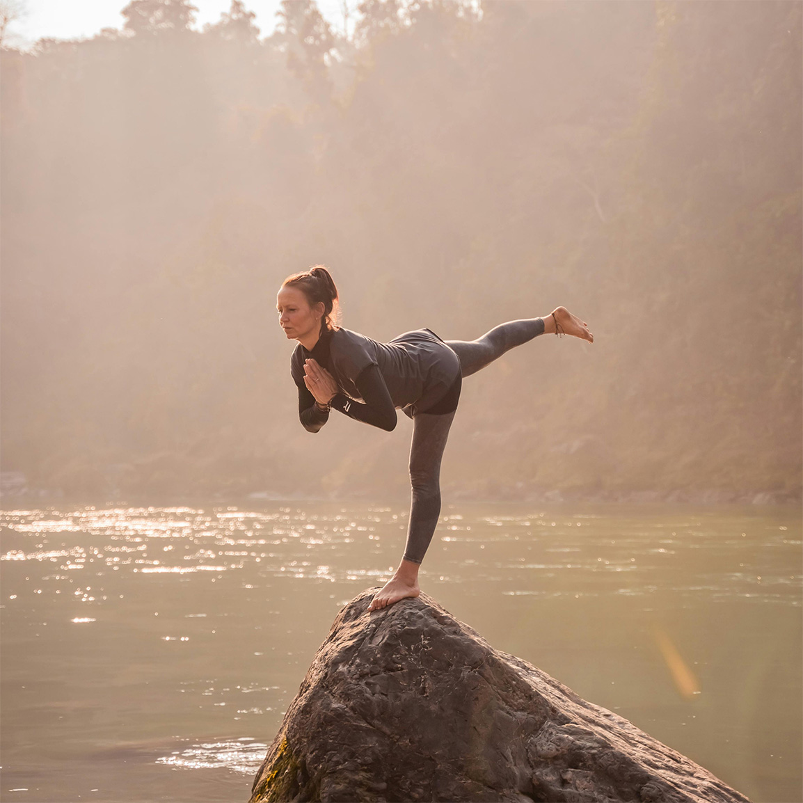 fungiq-feature-photo-2