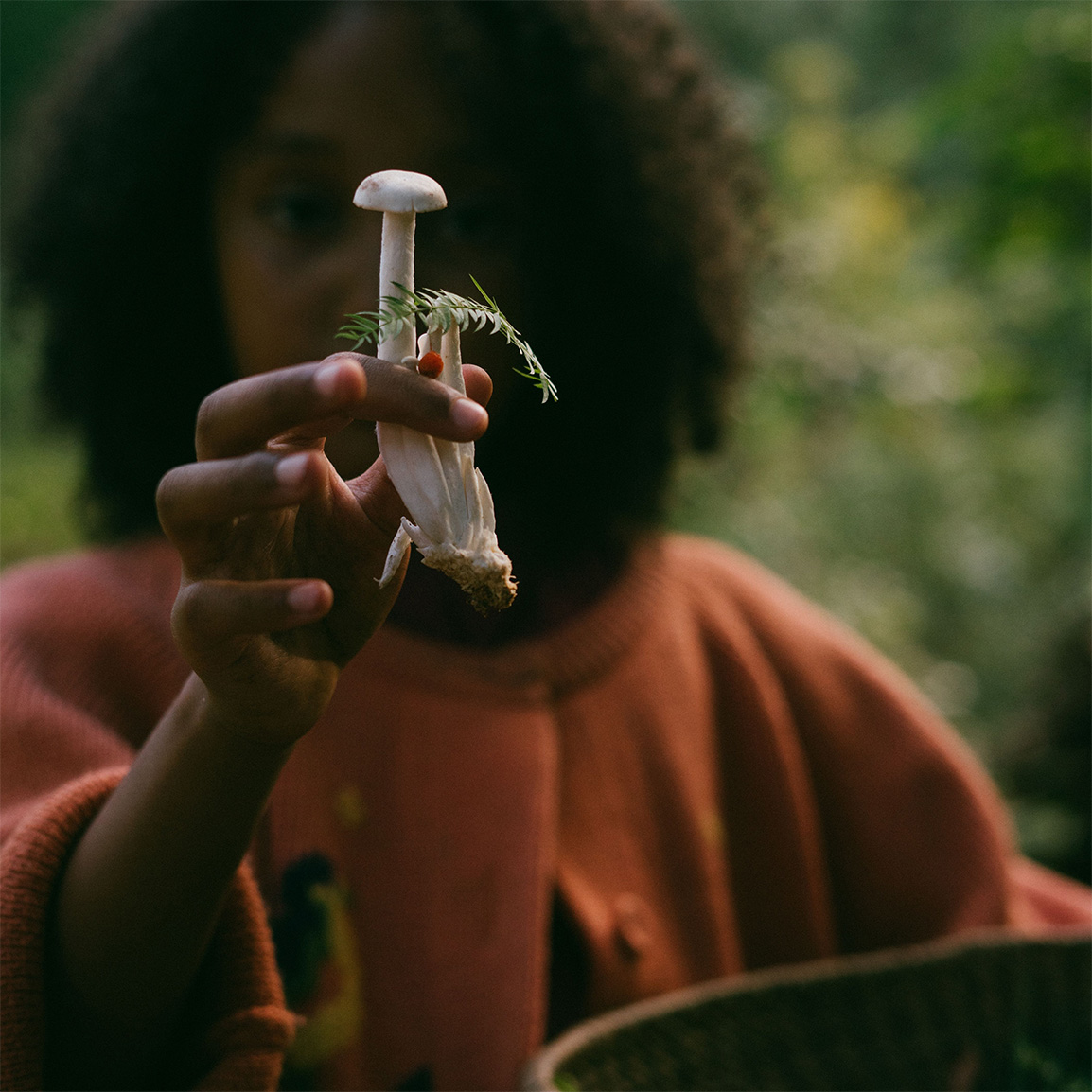 fungiq-feature-photo-3